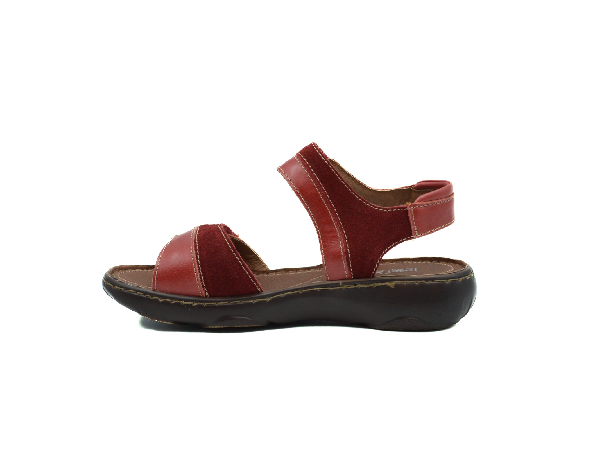JOSEF SEIBEL Dalia 01