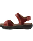 JOSEF SEIBEL Dalia 01