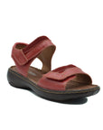 JOSEF SEIBEL Dalia 01