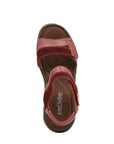JOSEF SEIBEL Dalia 01
