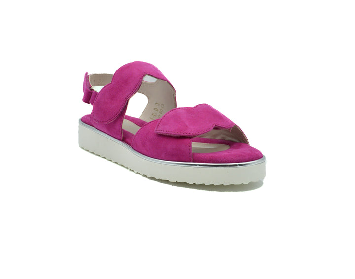 BELLA COMFORTO CORAL