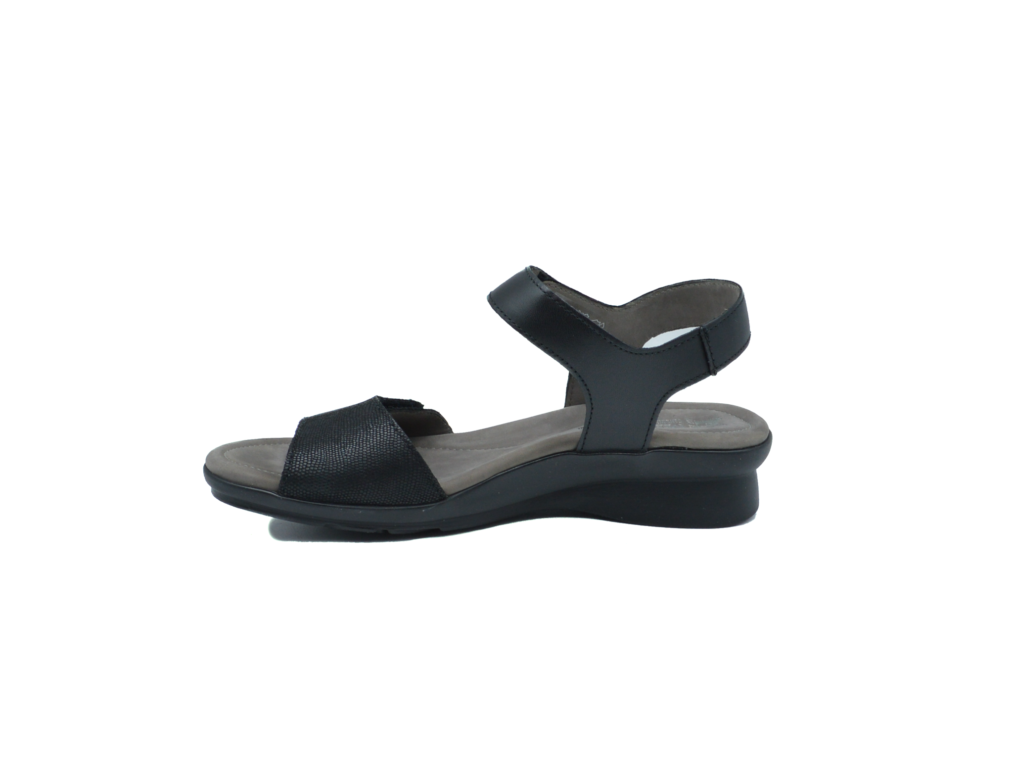 MEPHISTO Pattie