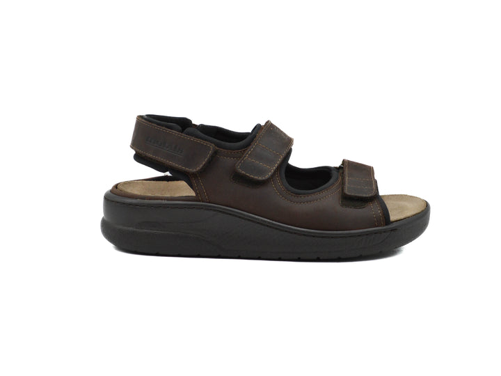 MEPHISTO Valden
