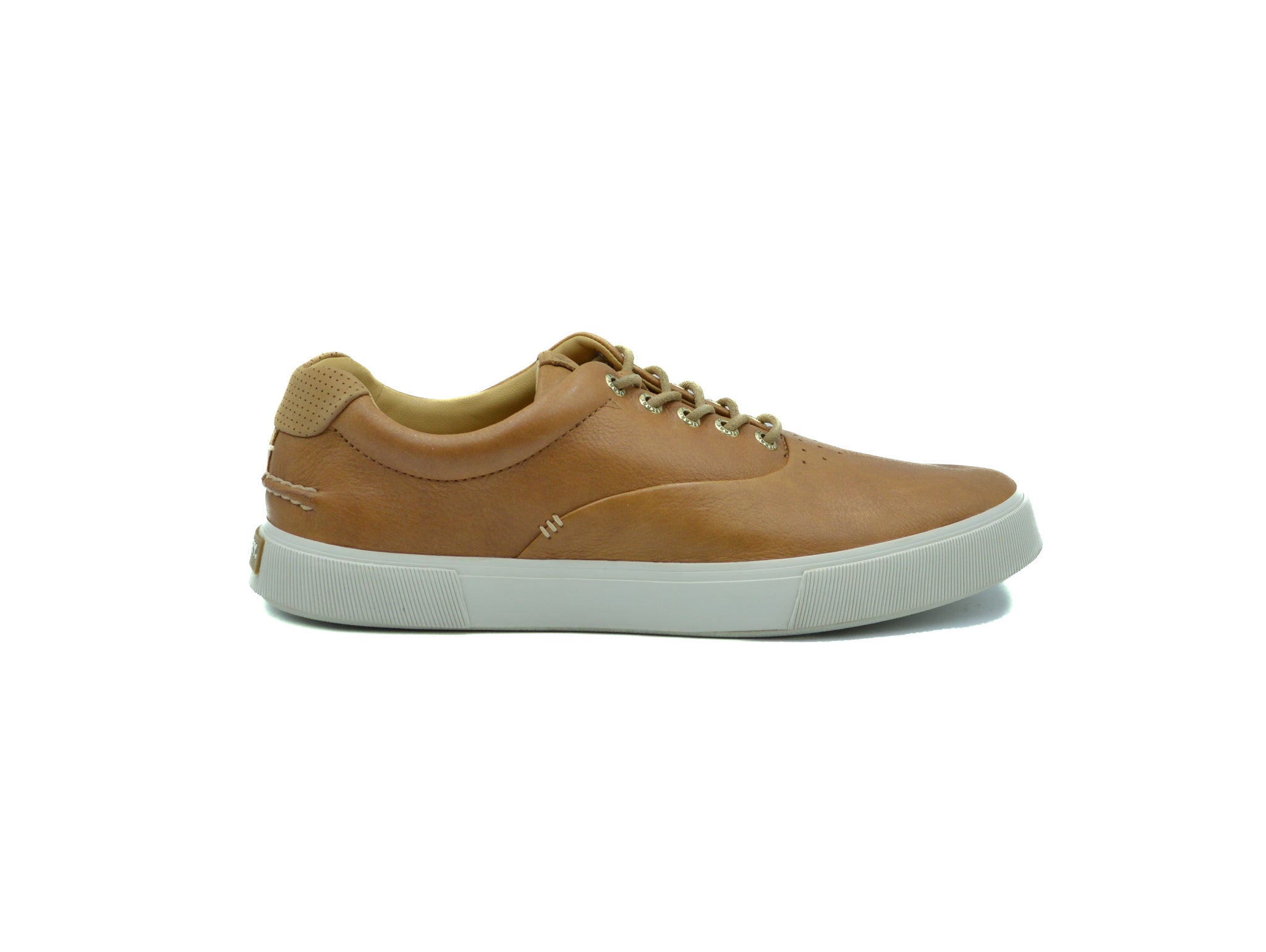 SPERRY Gold Cup™ Striper PLUSHWAVE™ CVO Sneaker